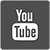 dsi youtube